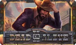Dead or Alive II — слот в AmonBet Casino
